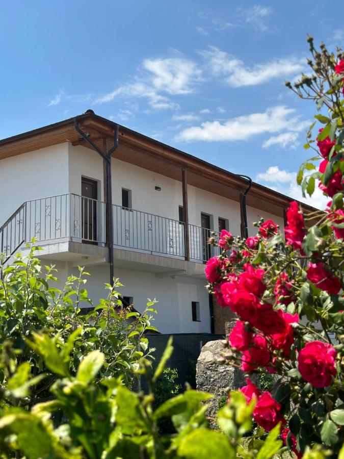 Vila Bloom Vama Veche Extérieur photo